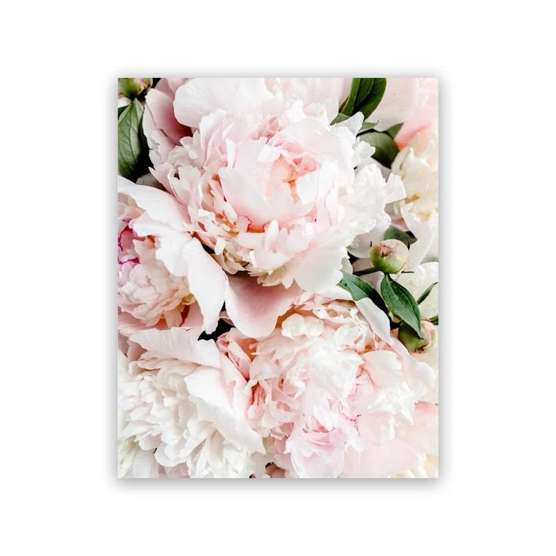 Peintures sur toile modernes pivoines roses et images d'art mural A2 50x70cm