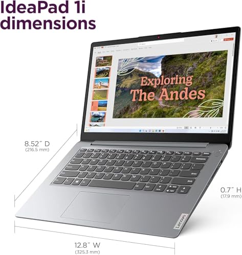 Image of Lenovo Ideapad 1i 14 inch Laptop (4GB RAM, 256GB SSD + 64GB eMMC), Intel Dual-Core for Business, Home, Student, Webcam, Anti-Glare, Long-Battery Life, Lightweight, Type-C, Wi-Fi 6, Win 11 Home in S Mode