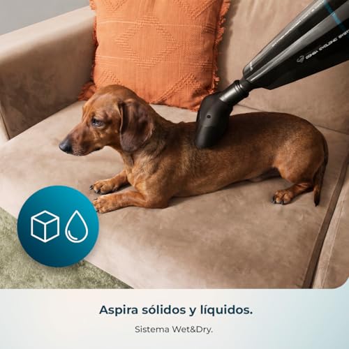 Miniatura 5 de Cecotec Aspiradora de Mano sin Cable Conga Immortal Extremesuction 22,2 Animal Hand Neo. 150W, Batería de 22,2 V, 10kPa, Depósito 500 ml, Filtro Alta Eficiencia, Accesorio Pelos de Animales