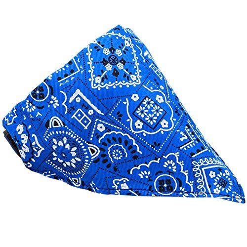 See full amazon price history chart for Sage Square Bandana Collar Cat Pet Adjustable Neck Scarf Neckerchief (Color May Vary) Sage Square Bandana Collar Cat Pet Adjustable Neck Scarf Neckerchief (Color May Vary) (B08C2CRRSS) Amazon Price History, Amazon Price Tracker