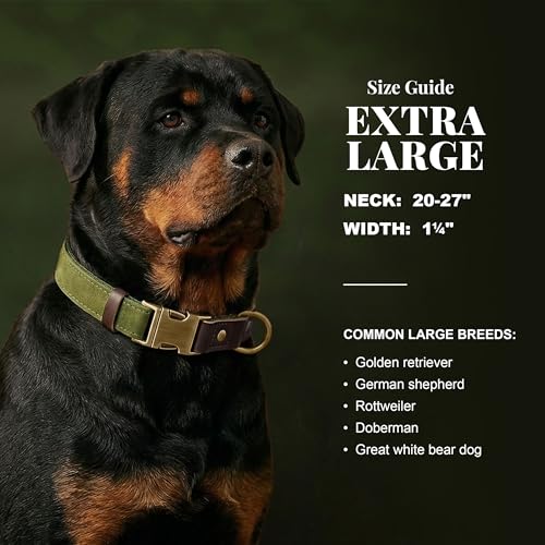 Image of Didog PU Leather Dog Collar for Large Dogs, Soft Nylon Lining,OliveGreen XL
