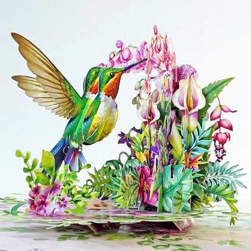 CUTPOPUP Orquídea Colibrí   3D Tarjeta Cumpleaños, Tarjetas Dia de La Madre, Regalos Originales Para Mujer, Regalos Para Mujer (Hummingbird Orchid) US8 AN164ES.