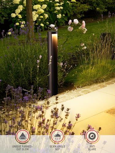 Image of LEONLITE 6-Pack 5CCT Low Voltage Landscape Path Lights, 12-24V AC /DC