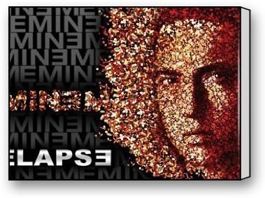 ArtShop Gallery Wrapped Eminem Relapse Art Wall Decor Custom Modern Art Painting Wall Decor Canvas Print