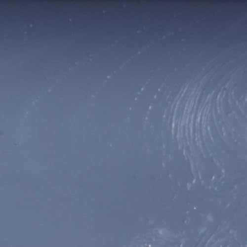 Miniatura 6 de Whirlpool W11157083 - Rueda superior para lavavajillas