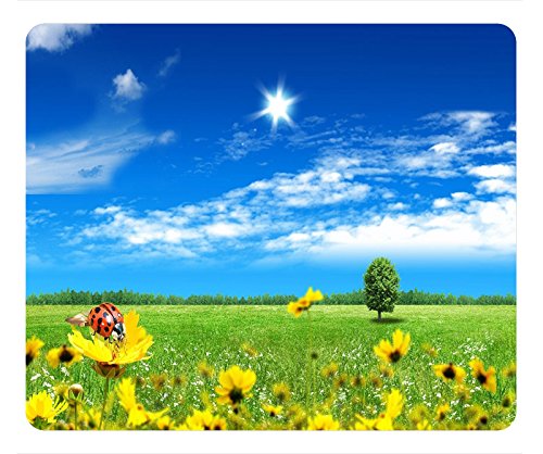 Beautiful World Design Oblong Mouse Pad Mousepad - Prairie