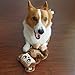 Outward Hound Kyjen Squeakimals Squeaking Plush Dog Toy, Monkey