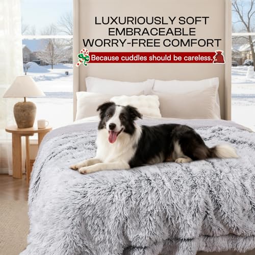 Couverture pour canapé et chien imperméable pour salon propre