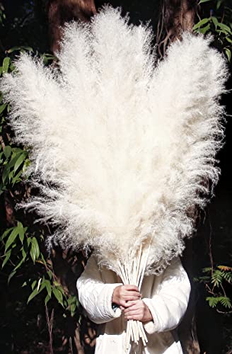 Image of 46 inch inch 10 Stems Cream Pampas Grass Decor Tall, Dry Flowers for Floor Vases Decor, Natural Dried Flowers for Wedding, Natural Home Decor, Wall Grass, Glam Decor
