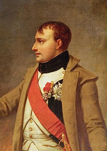 Toile Napoléon Austerlitz par Gros tableau décoration salon 60x90cm