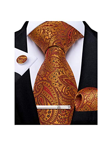 Image of DiBanGu Paisley Ties for Men Silk Necktie and Pocket Square Cufflinks Tie Clip Set Woven Classic Mens Tie for Wedding Party