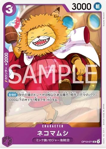 s[XJ[hQ[OP13-071lR}V(UC AR)u[X^[pbN 󂯌pӎu yOP13z