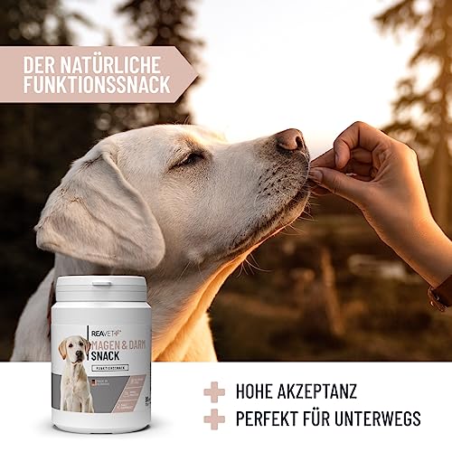 ReaVET Funktionssnacks I Gras- & Kotfresser Drops für Hunde I bei Fressen von Gras & KOT - unterstützt den Magen I Grasfresser Getreidefreie Hunde-Leckerlies Ohne Zucker
