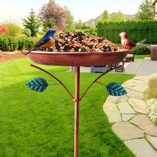 Bain d'oiseaux extérieur pour attirer et nourrir la faune - 8