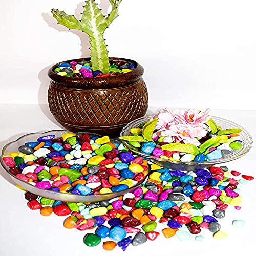 VANNEF Stone Decorative Aquarium and Vase Fillers Pebbles for Garden and Home Decor (Multicolour, 4900gm) (B09GMF148R) Amazon Price History, Amazon Price Tracker