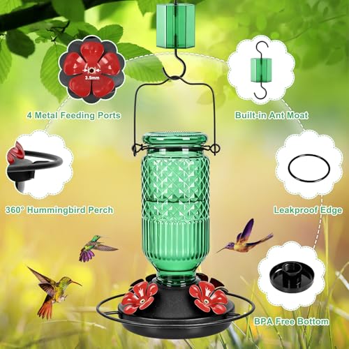 Image of FEED GARDEN Glass Hummingbird Feeder 2 Pack, 16oz Leak-Proof with Ant Moat & Bee Guards, Easy Clean Wide Mouth, Metal Perches, Green Outdoor Hanging