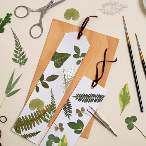 84 Stück getrocknete gepresste Blätter Pflanze Herbariumblätter Blütenblätter Gemischt Echte natürliche trockene Blätter für Harz Kunsthandwerk DIY Nagelaufkleber Verzierungen Dekorationen (D)