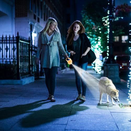 Einziehbare Hundeleine Mit Licht - 3m/5m Ausziehbare Leine für Kleine, Mittelgroße und Große Hunde Bis 30 kg