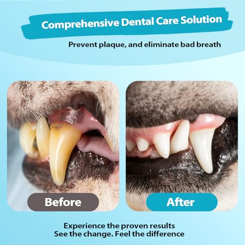 Dental-Spray für Hunde & Katzen,Natürliche Formel gegen Mundgeruch, Unterstützt Zahnpflege – Ohne Spülen,Gegen Mundgeruch, Unterstützt Zahnsteinentfernung