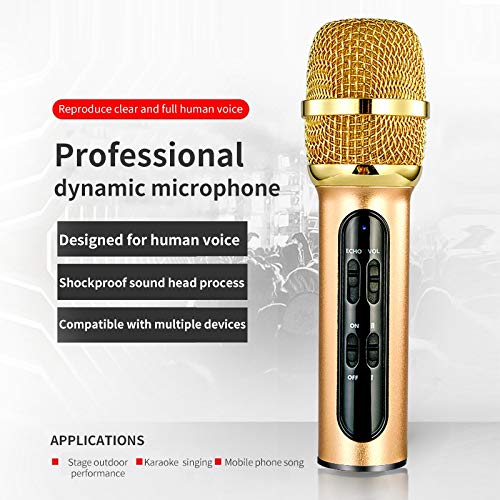 Microphone à condensateur et studio de poche écho pour chant sur ordinateur