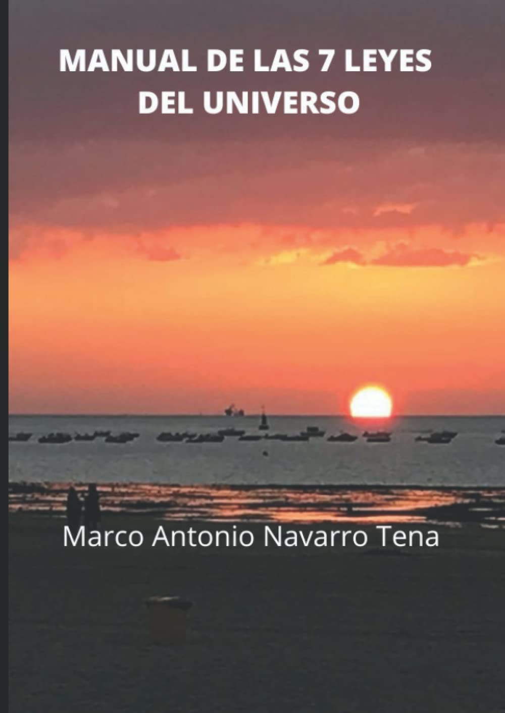 MANUAL DE LAS 7 LEYES DEL UNIVERSO (Spanish Edition)