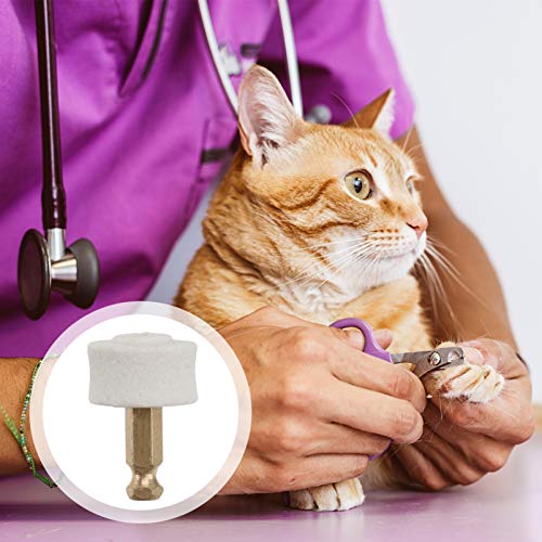 POPETPOP 10Pcs Dog Pet Prego Moedor Moedor Prego Elétrica Cabeça de Substituição Dicas Garra Pet Pre