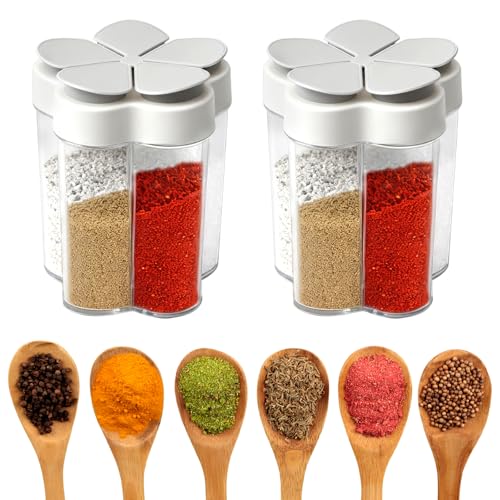 Gewürzstreuer 5-in-1 für Camping Küche, 2er Set Mini Gewürzdosen Organizer Camping Zubehör Reisegewürzset Aufbewahrungsbox für Salz Pfeffer Zucker BBQ Kompakt & Hygienisch für Outdoor & Zuhause