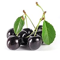 Vista 5 de OliveNation Black Cherry Super Flavor, Concentrated Flavoring for Candy, Chocolates, Baked Goods, Beverages, Non-GMO, Gluten Free, Kosher, Vegan - 16