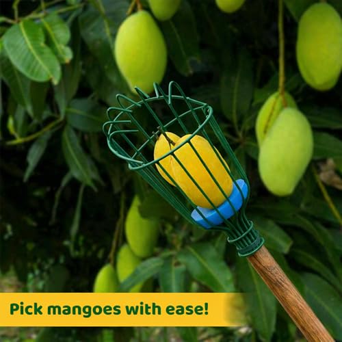 Image of Urban Plant Mango Plucker | Metal Fruit Picker Head | Green | with Sponge | Attaches to Any 1-Inch Pole | Rust-Proof Powder-Coated Iron (Pole Not Included)