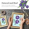 QLRGNE Purple Dried Pressed Larkspur Flowers for Resin Crafts, 60PCS Natural Real Dried Pressed Delphinium Flowers, Dry Flower for Resin Art DIY Craft Ornament Candle Making #3