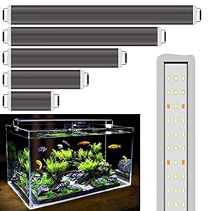 BPS Luz LED para Acuario Lámpara de Acuario 4000K Impermeable con Soporte Extensible (5W) BPS-6133