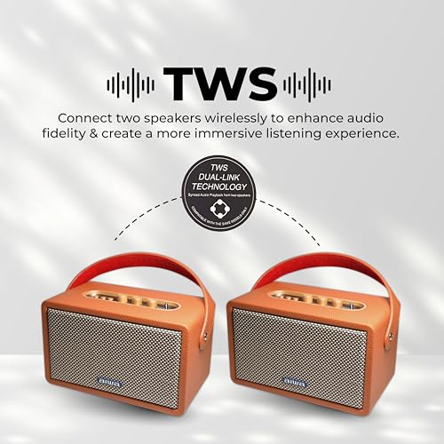 Image of Aiwa Bluetooth Speaker with Powerfull Bass, Built-in Microphone, Portable Speaker with 9+ Hours Play Time, 40W Speaker, Type-C Charging | RS-X 100 Natsukasii Pro (Brown)