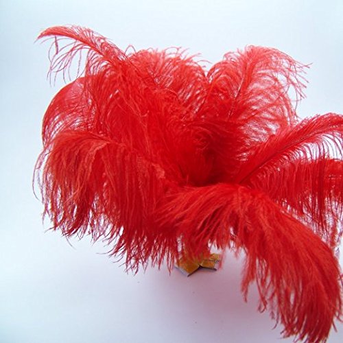 Kolight®20Pcs Ostrich Feather Red 12"-14" Natural Feathers Wedding, Party,Home #TOP2