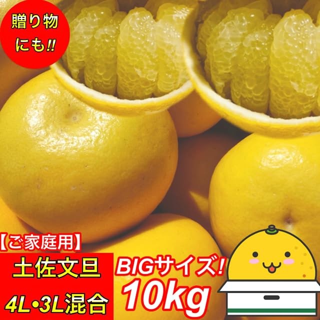 Amazon.co.jp: 文旦 土佐文旦 4L 3L混合 大玉限定 (16玉前後入り) ご