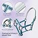 Hilltown Adjustable Horse Halter with PP Webbing, Durable Horse Halters with Zinc Alloy Hardware, Horses Training Equipment to Prevent Friction for Training, Competitions ＆ Daily (Full, Blue)