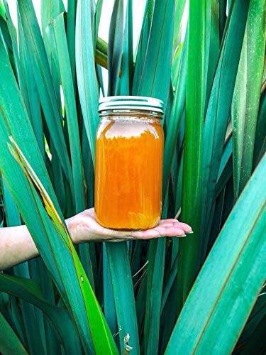 Miniatura 2 de Miel hawaiana AT&S, miel tropical natural de flores hawaianas, tarro de cristal de 1 libra, crudo, 100% puro, sin filtrar