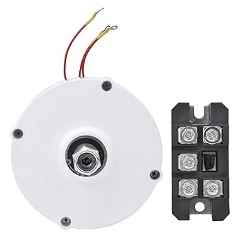 Amazon | FTVOGUE 永久磁石発電機、NE-100 12V100W風力タービン
