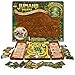 Spin Master Games- Spin Master Giochi Jumanji Deluxe-Spiel, coinvolgente elektronische Version des klassischen Abenteuer-Brettspiels, Jetzt mit Licht-und Geräuscheffekten, 6061778