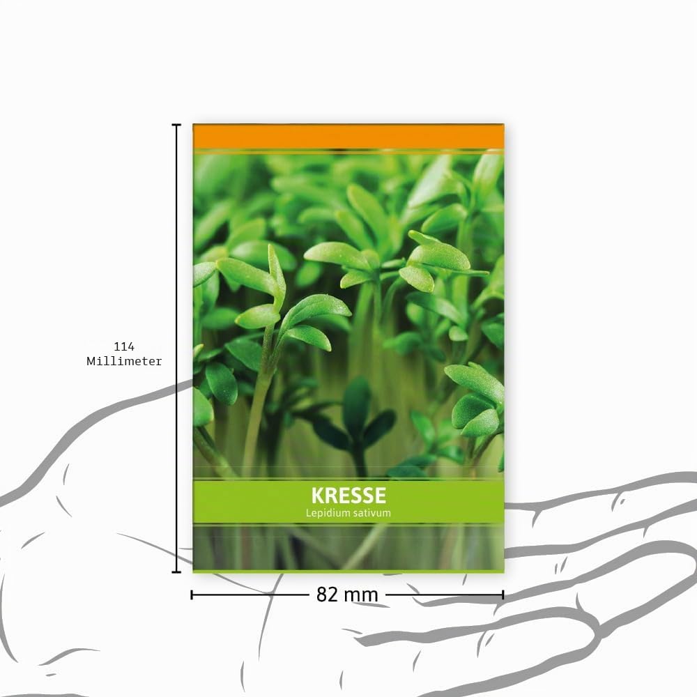 FLORTUS Kressesamen für Gastgeschenke (100 Stück) | Kleine Geschenktüten Sprossen Samen für Kresse als Dankeschön Geschenke & Werbegeschenke | Kräutersamen für Microgreens