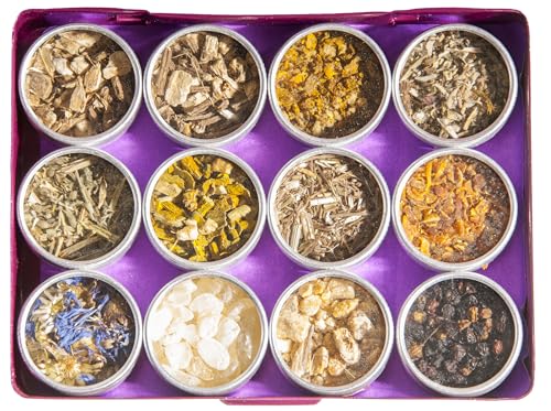 Berk Perception HS-436 - Juego de 12 botes de incienso fino para la atención plena e intuición, resinas naturales, hierbas y maderas para ahumar