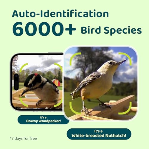 NETVUE-Smart-Bird-Feeder-Camera-Solar-Powered-Auto-Capture-Birds-Notify-in-Time-Powerful-AI-Recognition-Bamboo-Wood-Bird-Feeder-Camera-Ideal-Present