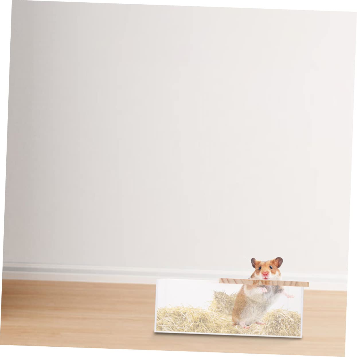 Acryl Badesandbecken für Hamster, 2 Stück, Glatt, Leicht