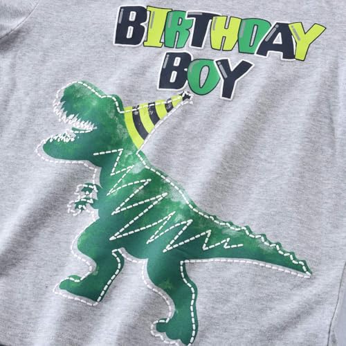 Dinosaur Birthday Boy T-Shirt - B-Day Dino Party T-Rex Top - Cotton Toddler Tee - Gray Short Sleeve Outfit2