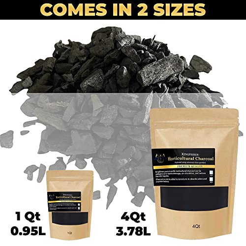 Kingfishers Organic Horticultural Charcoal & Terrarium Charcoal | Charcoal For Plants | Pure Hardwood Charcoal For Planting And Gardening | (1 Quart) #TOP4
