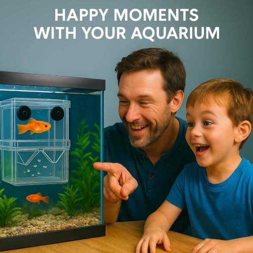 Image of Double Deck Aquarium Breeding Box (Large, 13x10x7 cm) Acrylic Fish Fry Isolation Tank | Strong Suction Cup Breeder Box for Guppy, Molly, Betta | Safe Baby Fish Protection & Quarantine