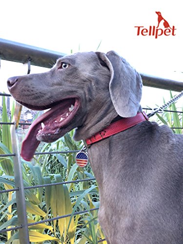 Tellpet Leather Dog Collar With Quick Release Buckle, Red, Large #TOP3