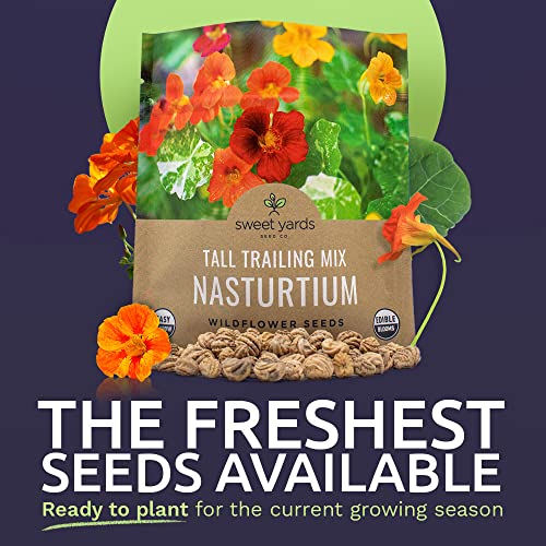 Sweet Yards Seed Co. Nasturtium Seeds – Mixed Colors – Extra Large Packet – Over 200 Open Pollinated Non-Gmo Flower Seeds – Tropaeolum Majus #TOP1