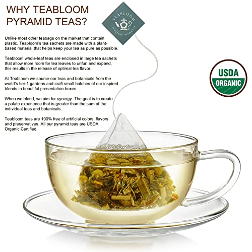 Té verde orgánico sampler con 12 saquitos miniatura 6