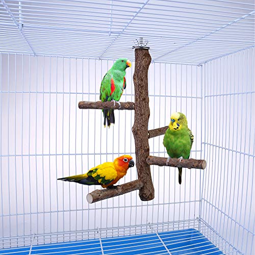 image for Filhome Bird Perch Stand Toy, Natural Wood Parrot Perch Bird Cage Bran