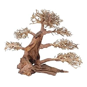AquaOne Aquarium Bonsai boom XXL nr. 13049 wortel Oriëntaal hout 50x25x40 cm I Aquascaping decoratie I natuur unicum…